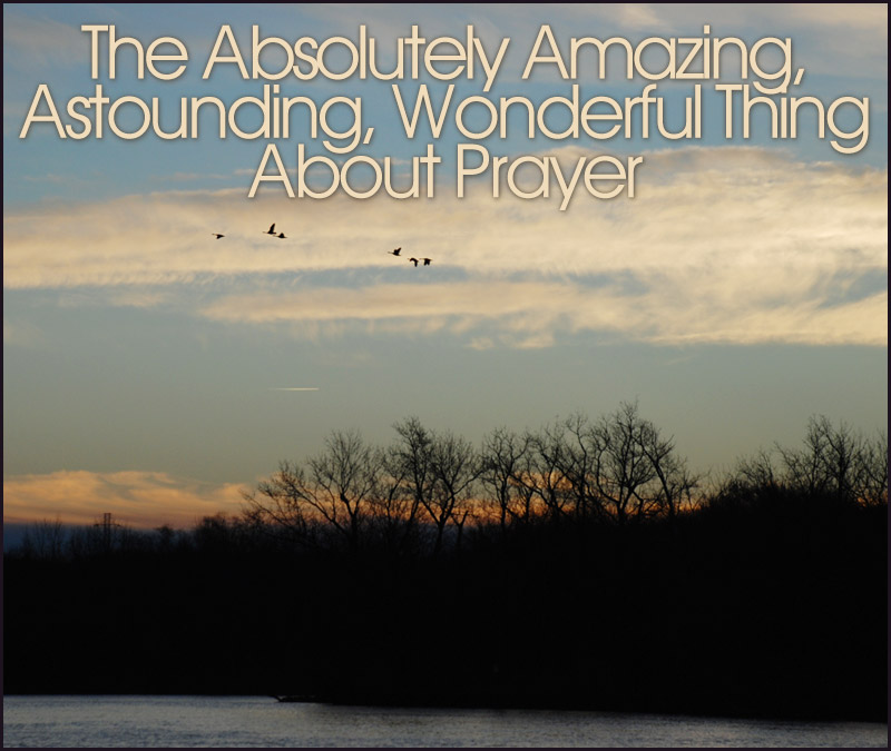 (Photo: Geese taking flight at sunrise. 