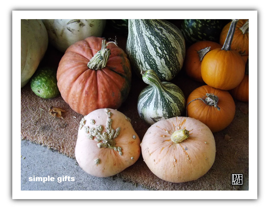 (Photo - Autumn harvest.... Simple Gifts!)