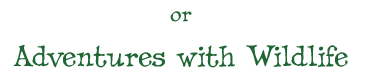 or Adventures with Wildlife