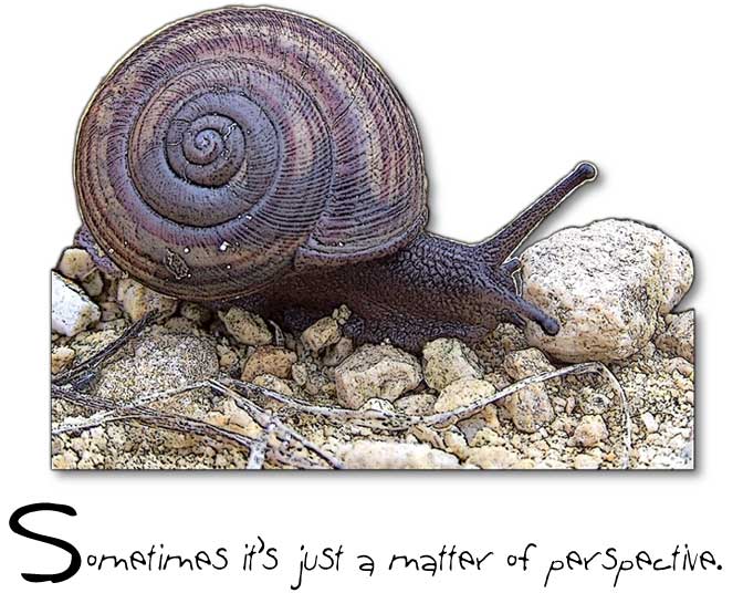 Sometimes it's a matter of perspective - illustrated by a brilliant photo (if I do say so myself... and I do!) of a poor little snail stopped in his tracks by a giant boulder... which in reality is just a small stone.