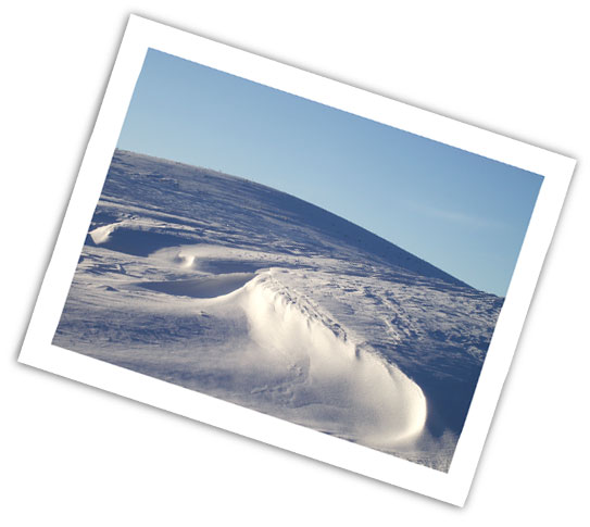 (Phot: more frozen stuff!)