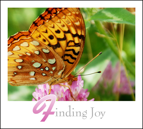 Finding Joy - click here
