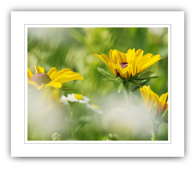 (Photo: the glorious days of summer)