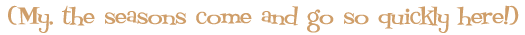 My, seasons come and go so quickly here!