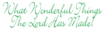 What Wonderful Things the Lord Has Made!