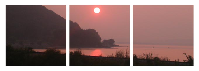 (photo collage)