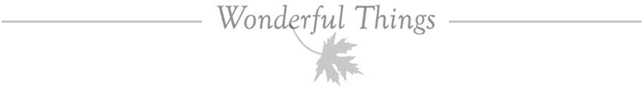 Wonderful Things by Paul Dallgas-Frey