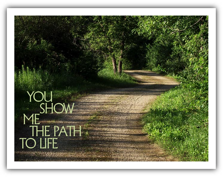 (Photo; a path through the woods on a summer day) 