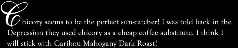 (text)