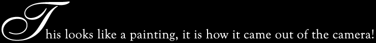 (text)