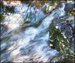(Refreshing Waters)
