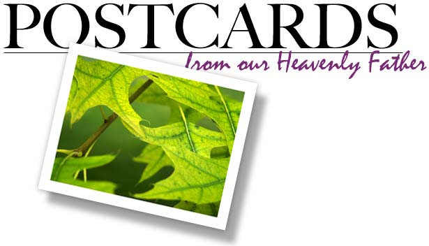Postcards from our Heavenly Father