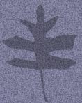 (logo)