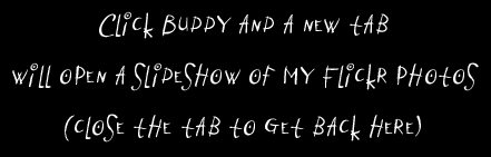 click Buddy
