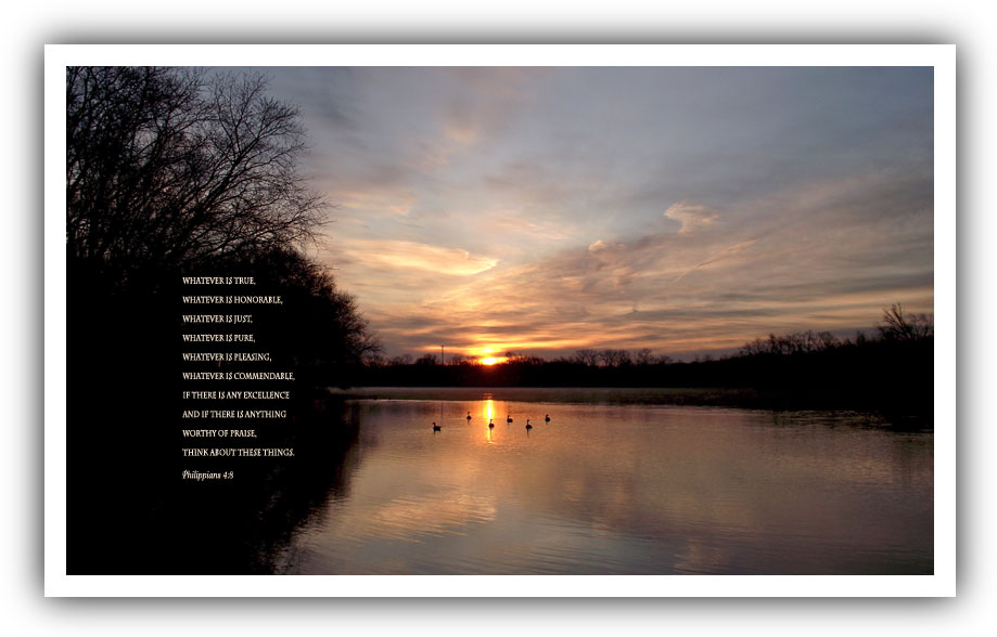 (Desktop sample No. 5)