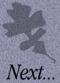 Next