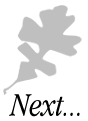 Next (click here)