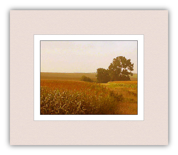 (photo; a hayfield in the fall)