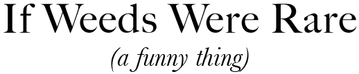 If Weeds Were Rare (A funny thing)
