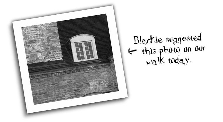 Blackie suggested this photo on our walk today.