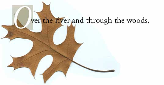 Over the river and through the woods...