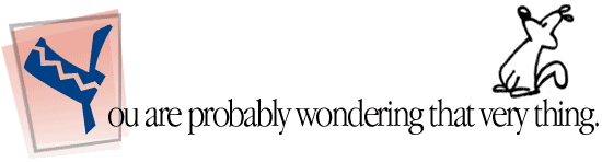 You are probably wondering that very thing.